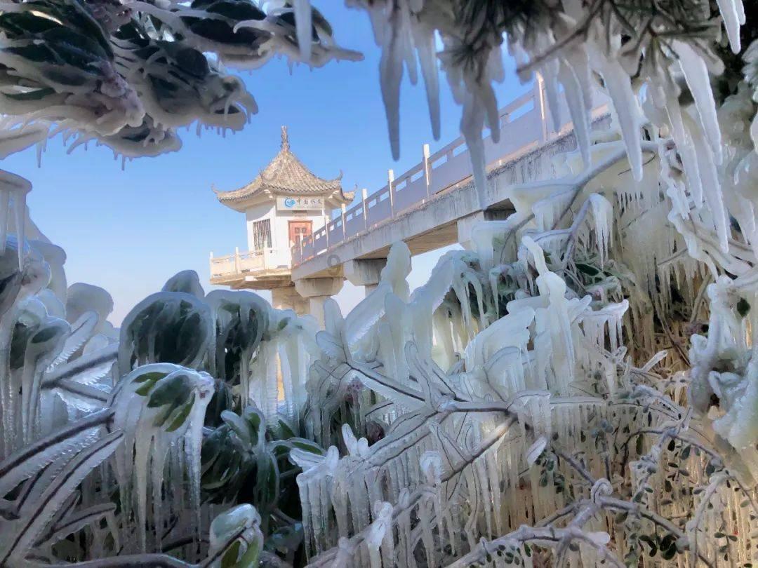 泗水街道于圩社区：“红色”物业擦亮基层治理幸福“底色”